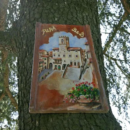 Pupa Guest house *