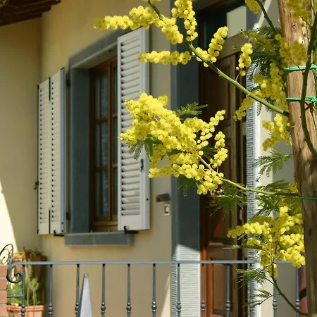 Pupa * Cortona