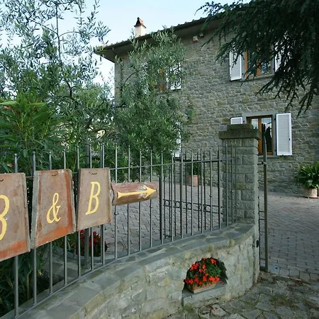 Pupa Cortona