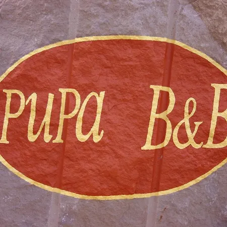Pupa Cortona